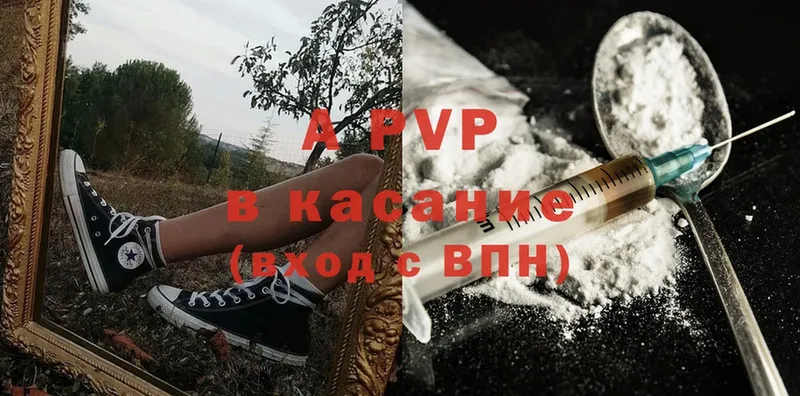 APVP СК КРИС  Луга 